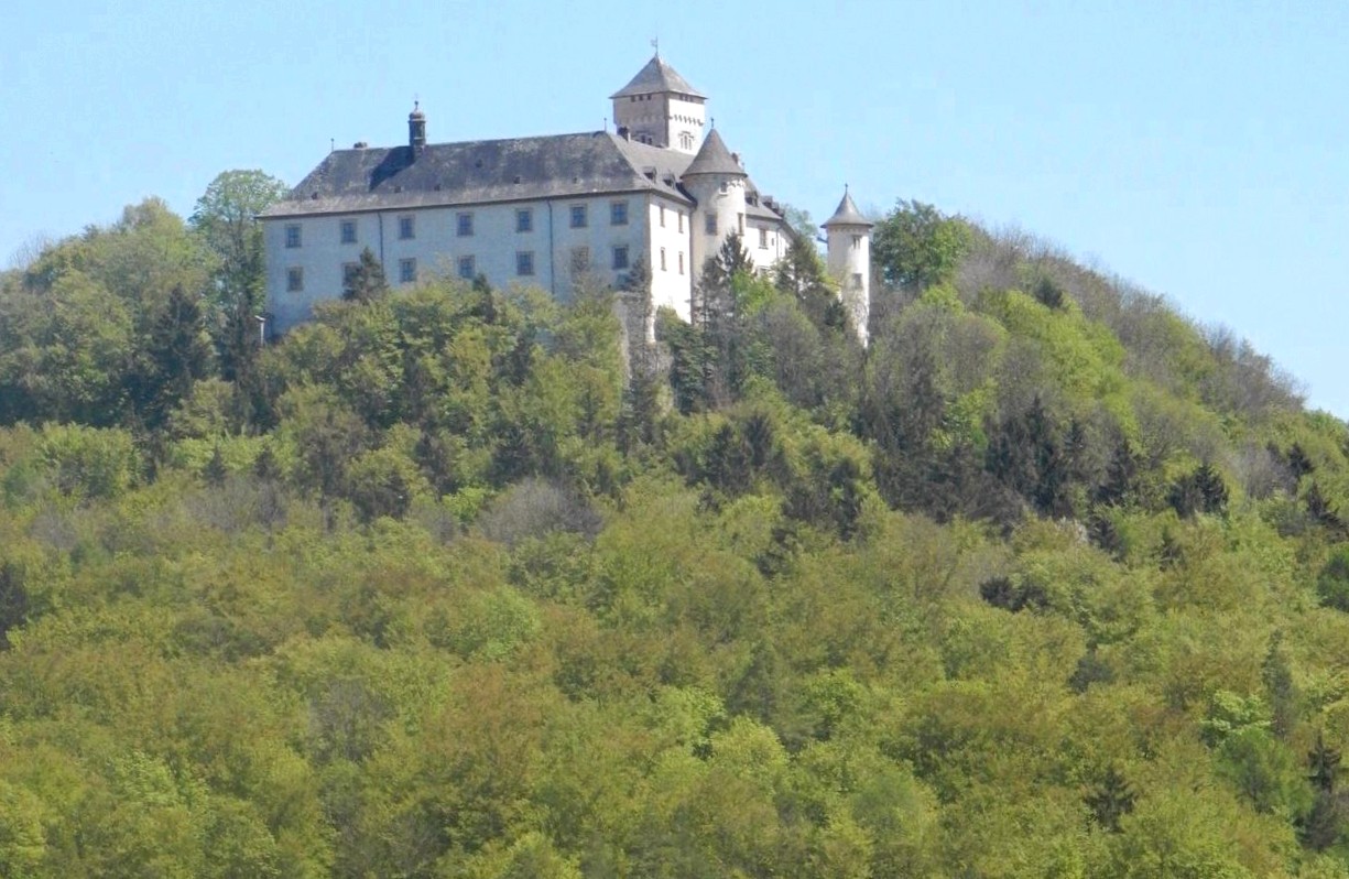 After stauffenberg's assassination, the nazis sacked greifenstein castle